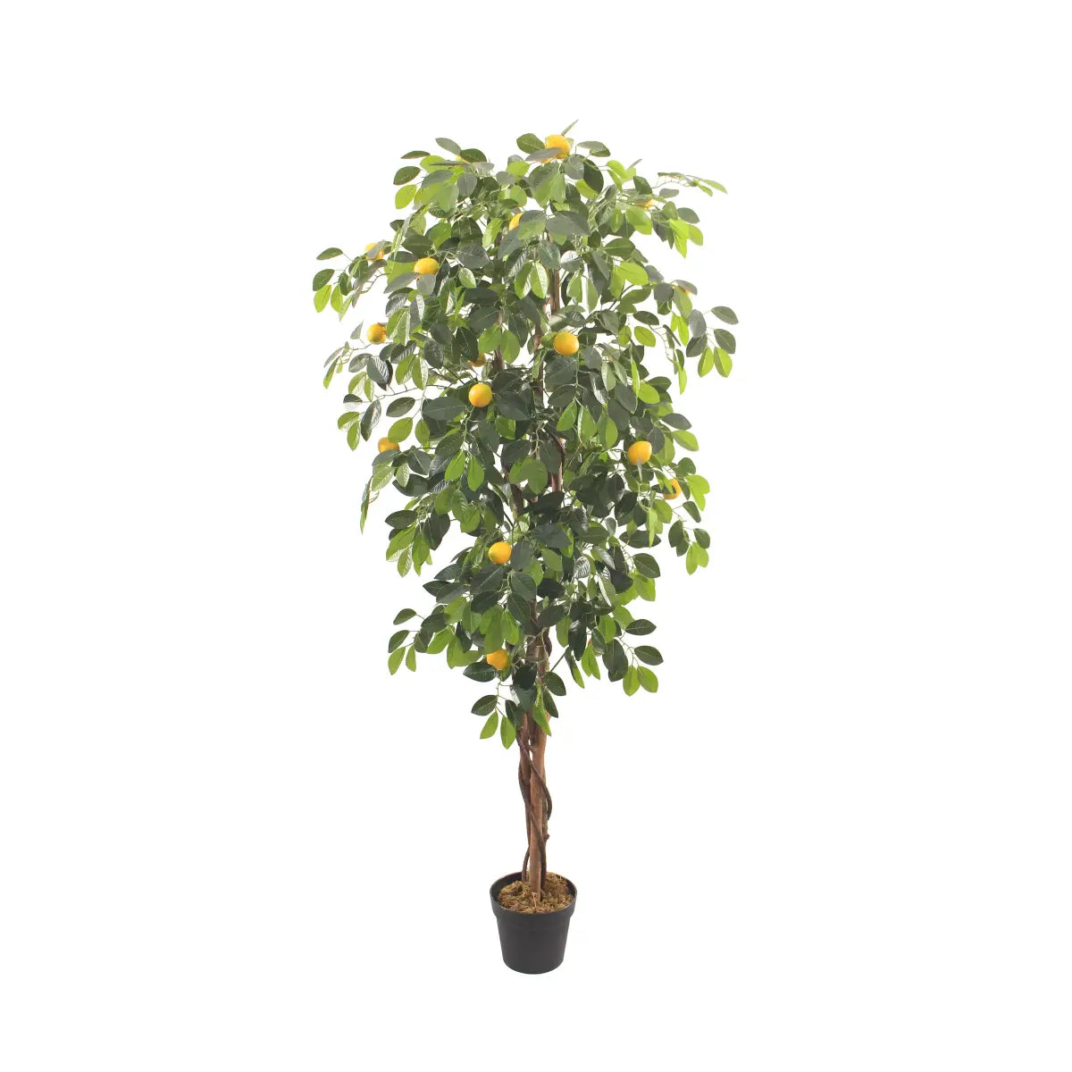 Artificial Lemon Tree 180cm Tall Lifelike Indoor Décor Tree