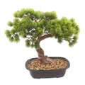 Artificial Pine Bonsai Tree 40cm Elegant Indoor Décor Plant