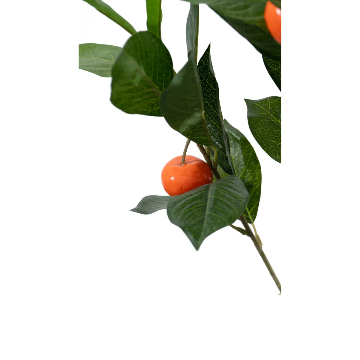 Marcolo artificial orange tree leaves and fruit close-up.