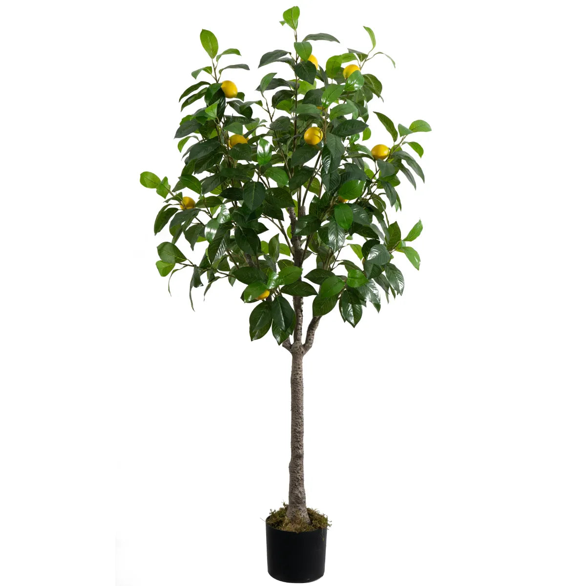 Marcolo 150cm Artificial Lemon Tree in Black Pot Decor