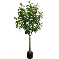Marcolo 150cm Artificial Lemon Tree in Black Pot Decor