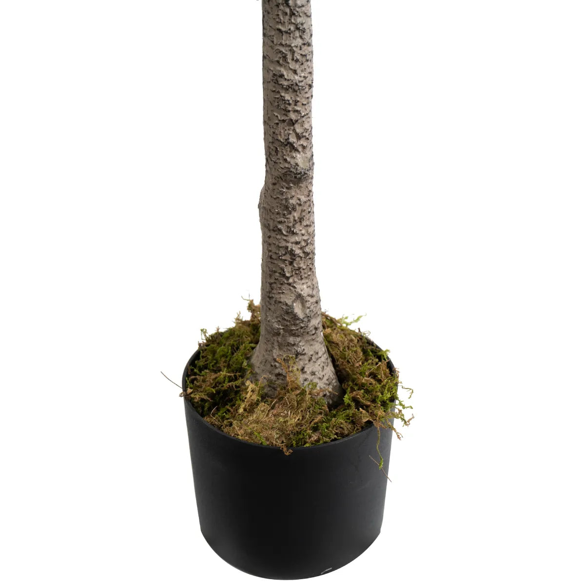 Marcolo 150cm Artificial Lemon Tree Base and Moss Detail