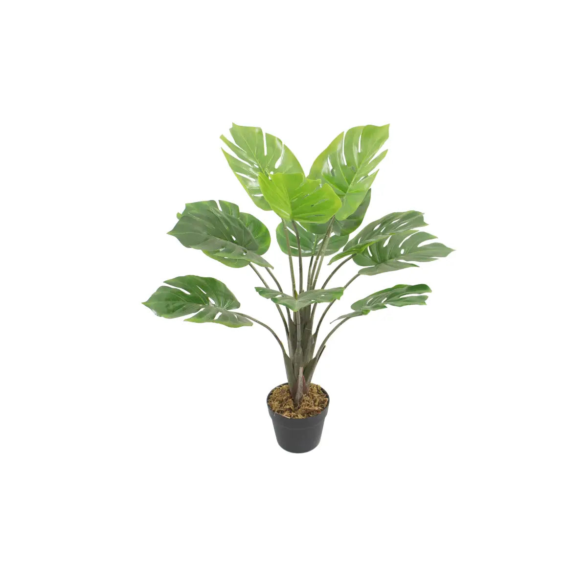 Artificial Monstera Tree 80cm Realistic Indoor Décor Plant
