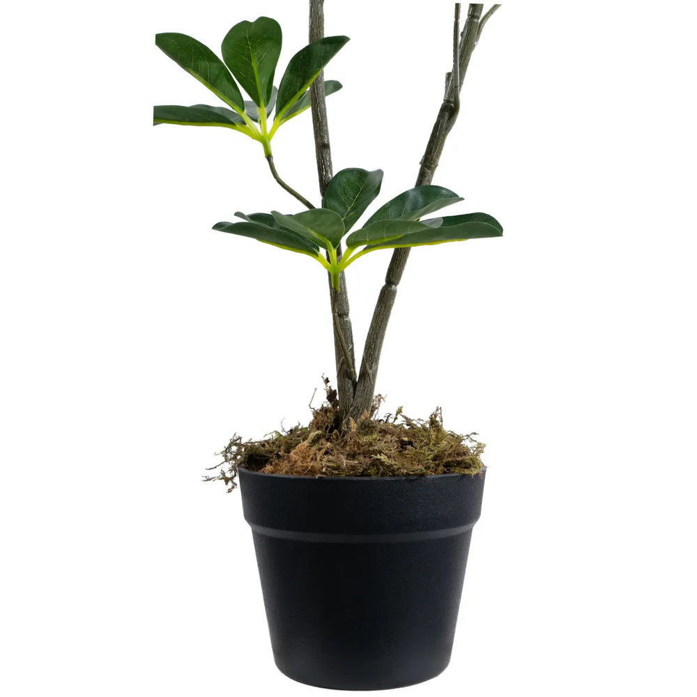 Artificial Seven Star Leaf Tree 85cm Indoor Decorative Plant
