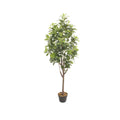 Artificial Peperomia Rubber Plant 150cm Indoor Decorative Plant