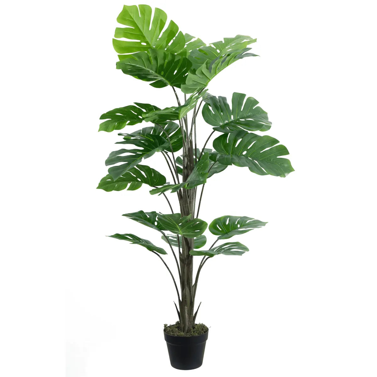 Marcolo 130cm Artificial Monstera Tree Full Product View