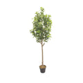 Artificial Peperomia Rubber Plant 180cm Tall Indoor Décor Plant