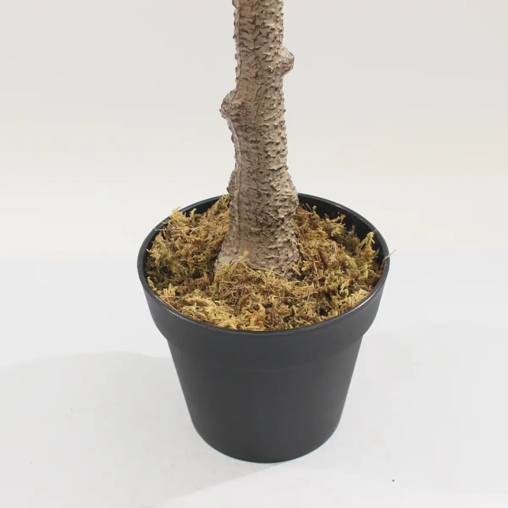 Artificial Peperomia Rubber Plant 180cm Tall Indoor Décor Plant