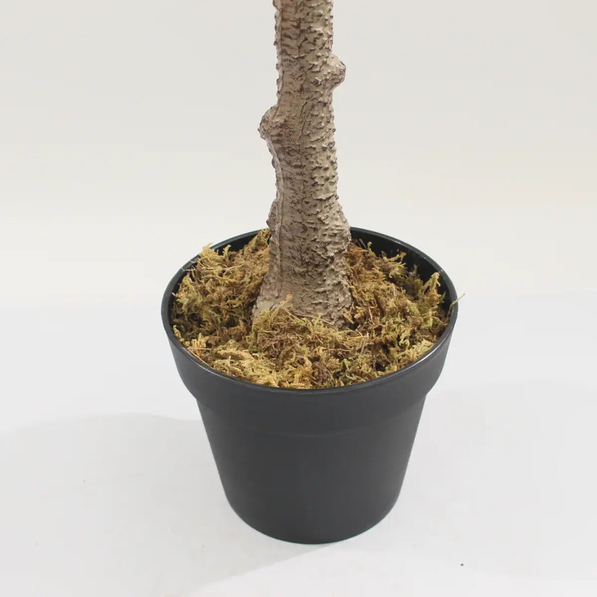 Artificial Peperomia Rubber Plant 180cm Tall Indoor Décor Plant