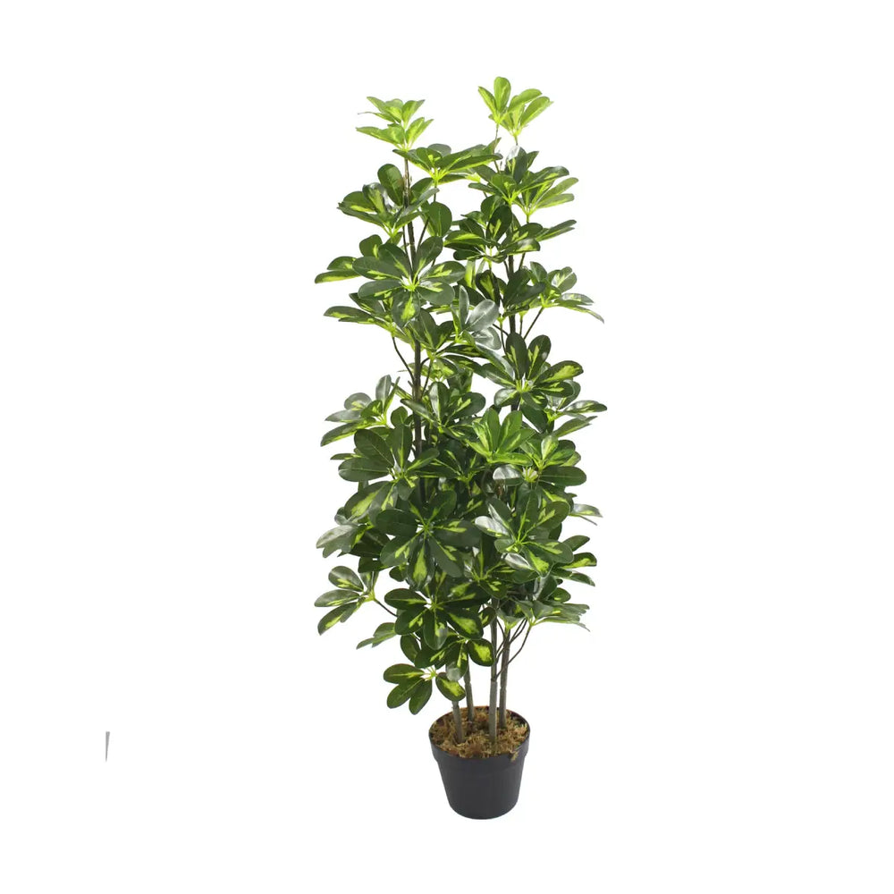 Artificial Schefflera Arboricola Tree 120cm 80l Indoor Décor
