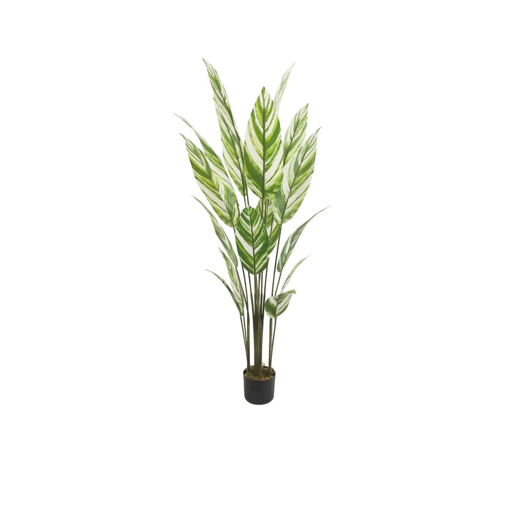 Artificial Bird Of Paradise White Tree 170cm Indoor Décor