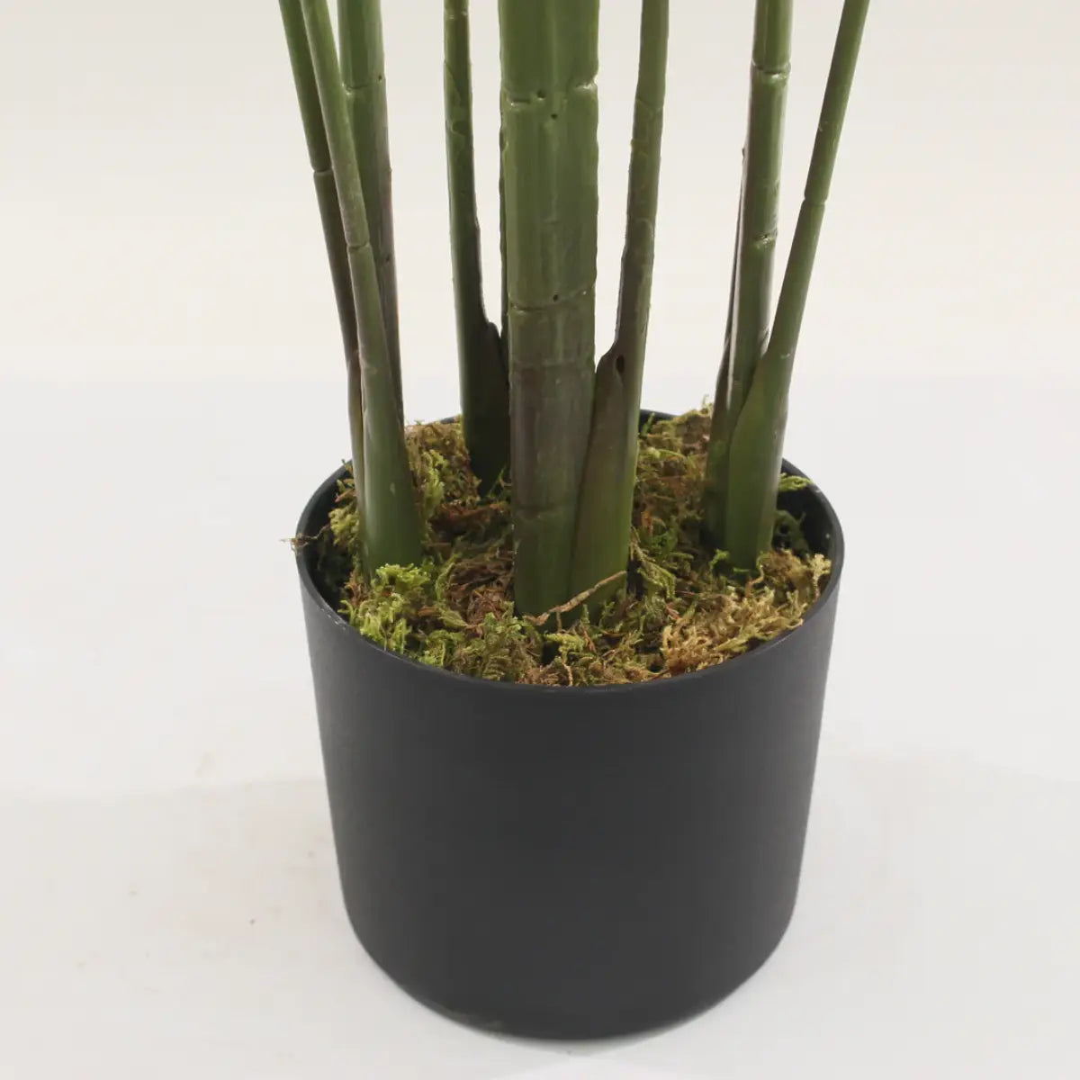 Artificial Bird Of Paradise White Tree 170cm Indoor Décor