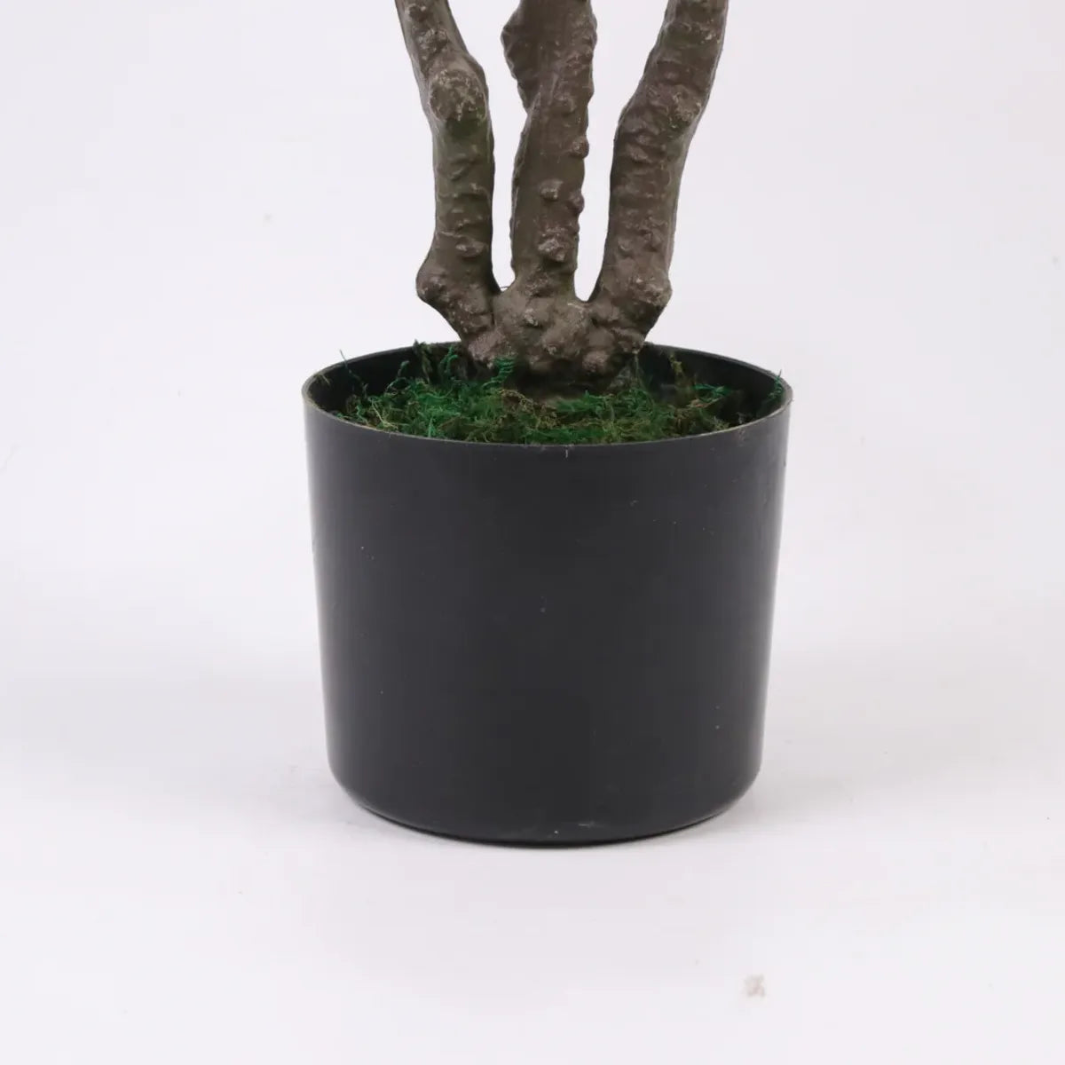 Marcolo 90cm Artificial Magnolia Tree in Black Decor Pot