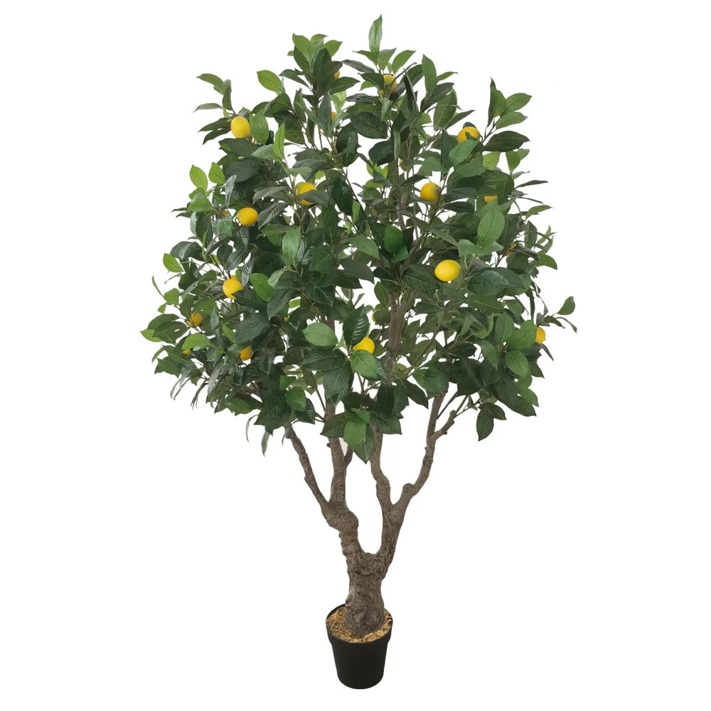 Marcolo 170cm Artificial Lemon Tree in Black Pot Decor