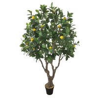Marcolo 170cm Artificial Lemon Tree in Black Pot Decor