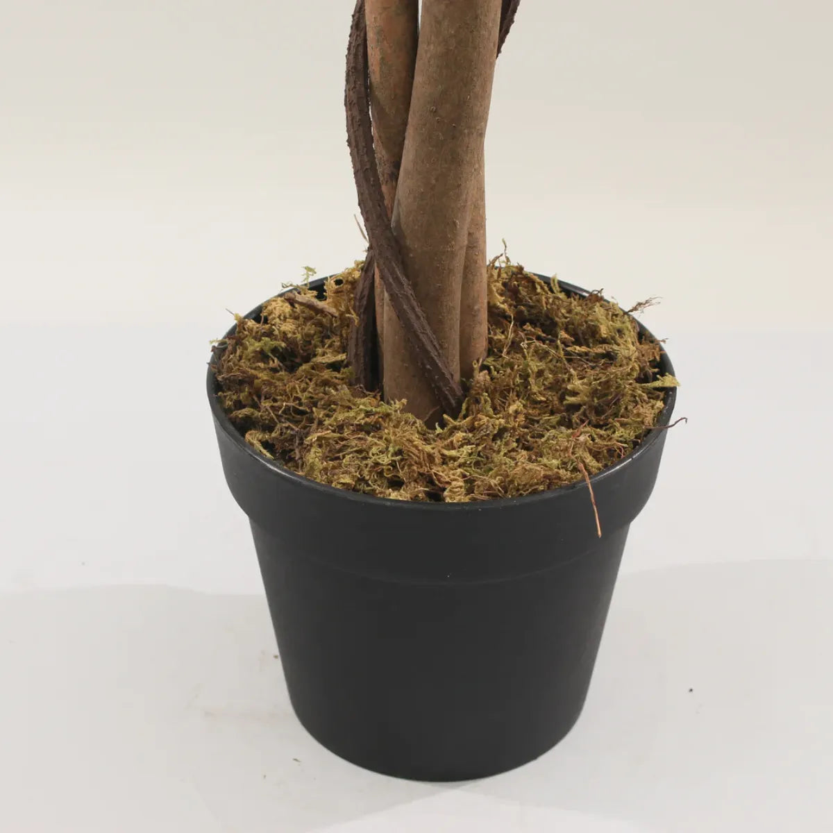 Marcolo 180cm Artificial Lilac Tree Base and Moss Detail