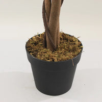 Marcolo 180cm Artificial Lilac Tree Base and Moss Detail