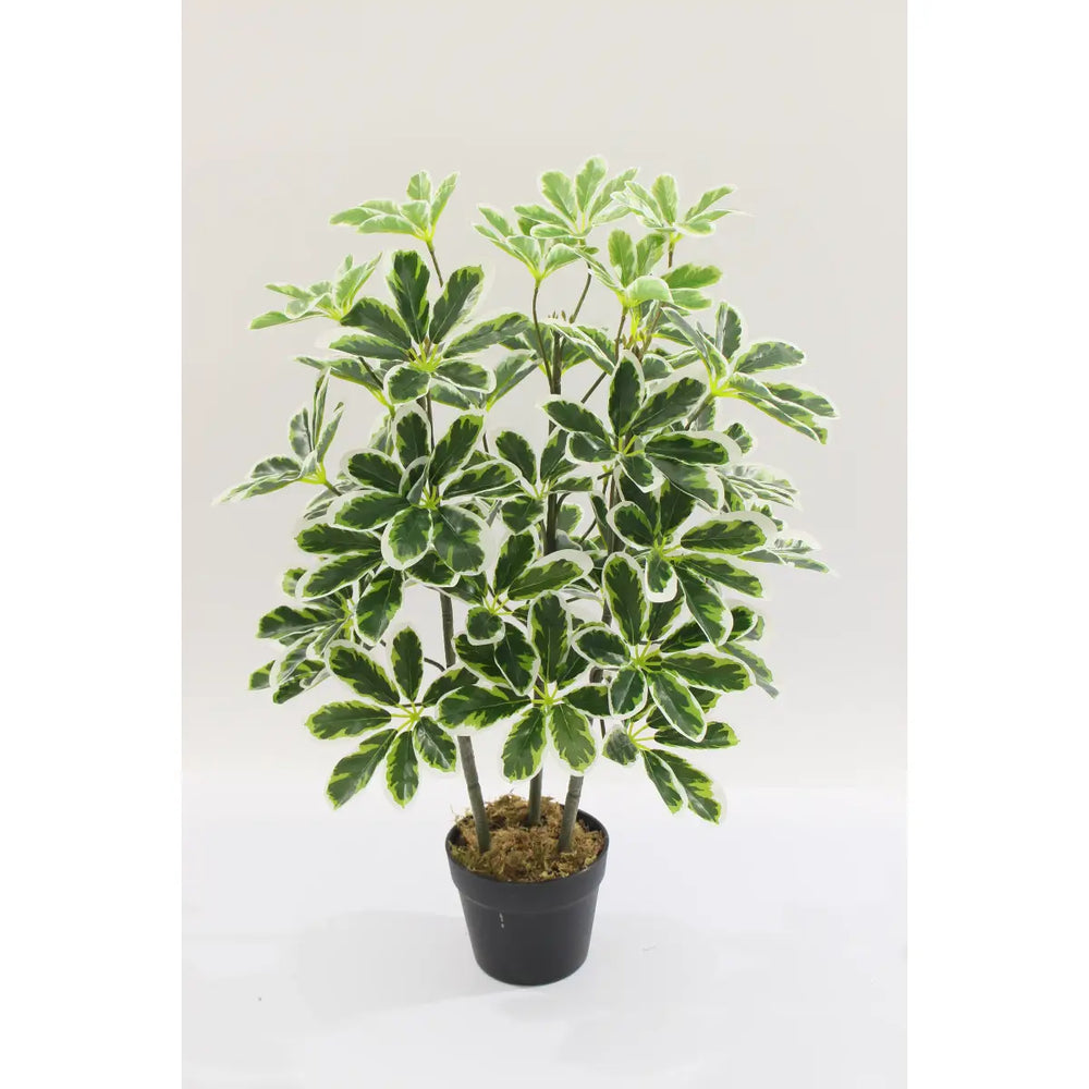 Artificial Schefflera Arboricola Tree 75cm 36l Indoor Décor