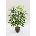 Artificial Schefflera Arboricola Tree 75cm 36l Indoor Décor