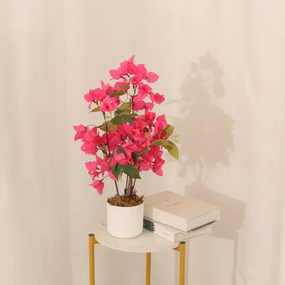 Artificial bougainvillea tree 50cm in a white pot on a side table, a vibrant indoor accent by Marcolo.
