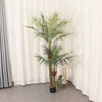 Marcolo 210cm artificial palm tree in a black pot.