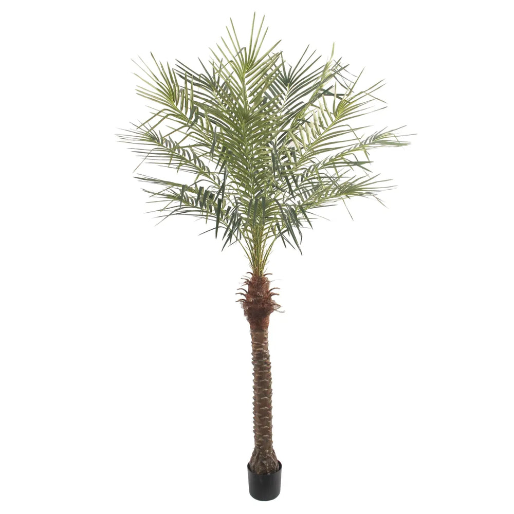 Artificial Palm Tree 210cm Tall Realistic Indoor Décor Tree