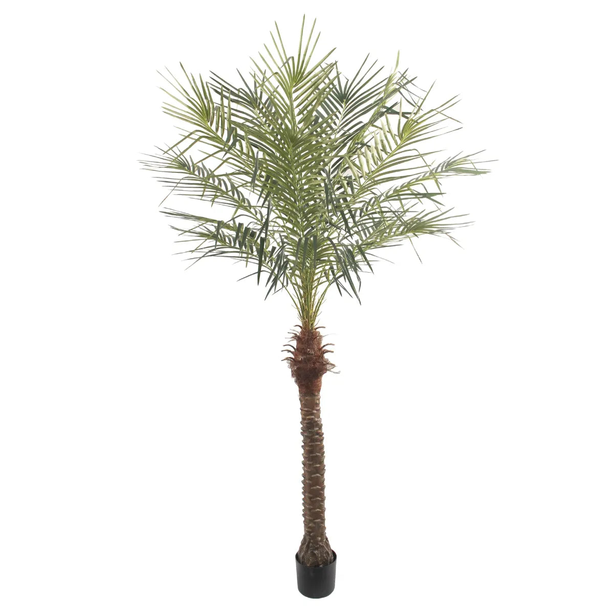 Artificial Palm Tree 210cm Tall Realistic Indoor Décor Tree