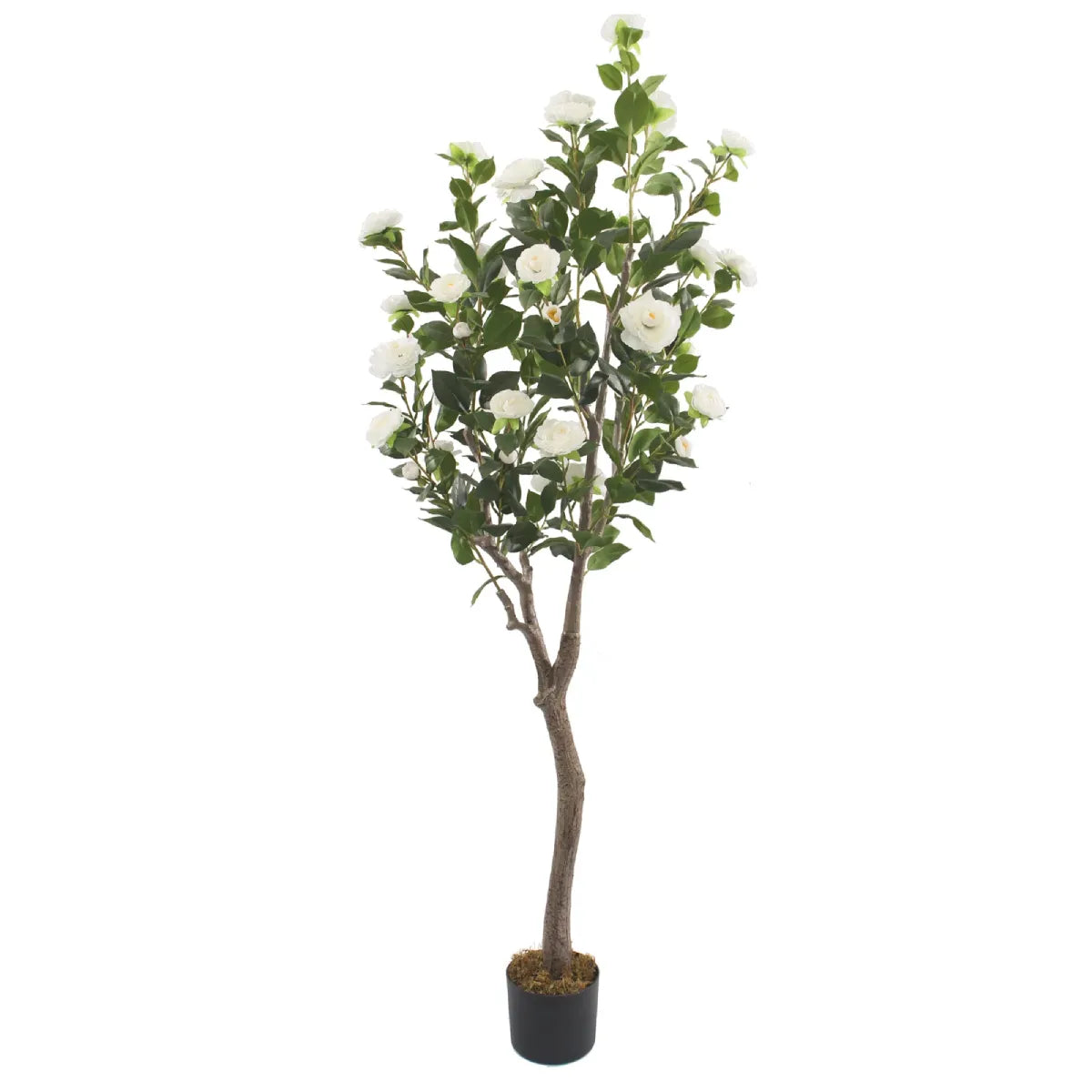 Artificial Camellia Flower Tree 180cm Elegant Indoor Décor