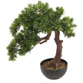 Artificial Pine Bonsai Tree 64cm Elegant Indoor Decorative Bonsai