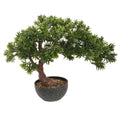 Artificial Pine Bonsai Tree 50cm Realistic Indoor Bonsai Décor