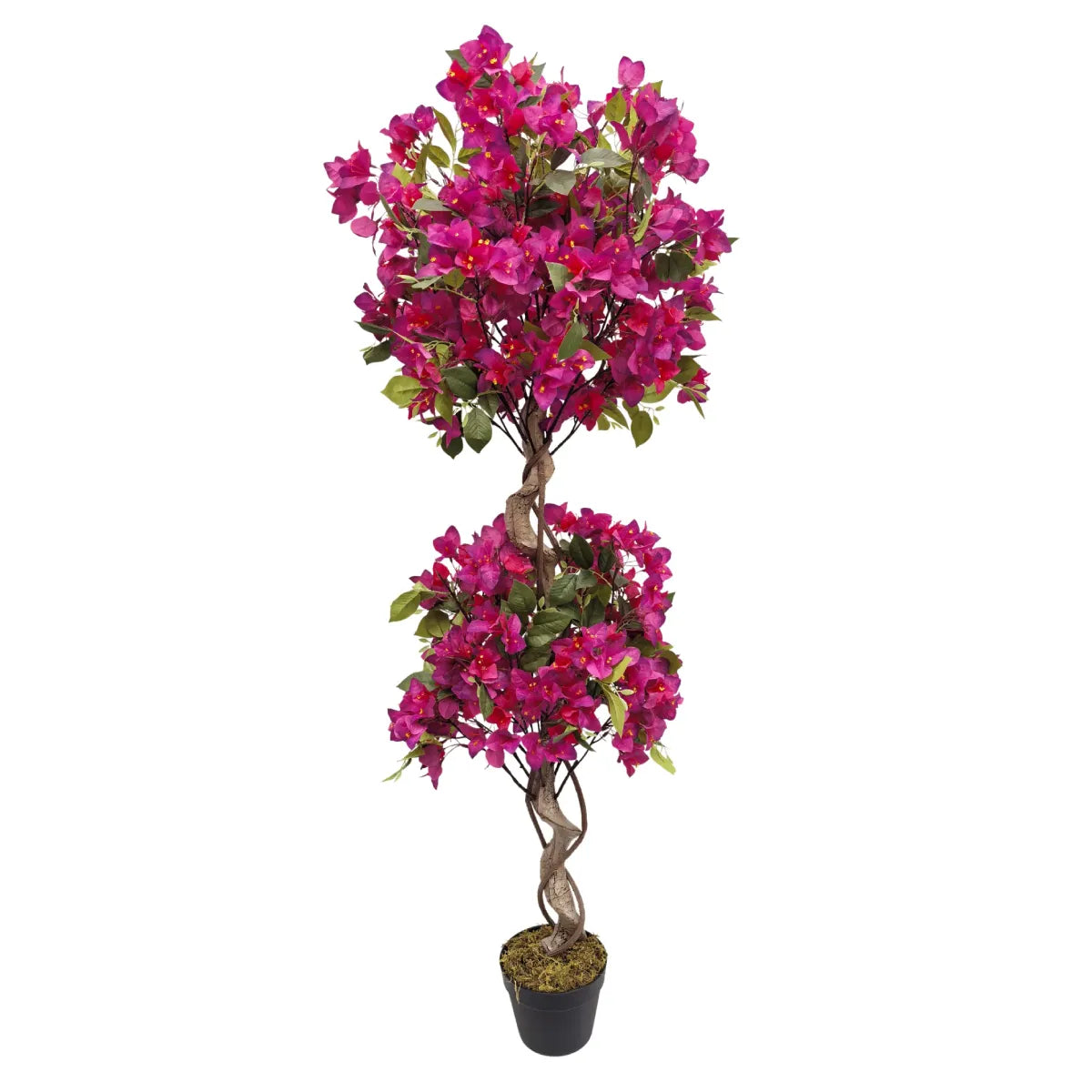 Marcolo 150cm artificial bougainvillea tree with two tiers of magenta flowers and a twisted trunk.