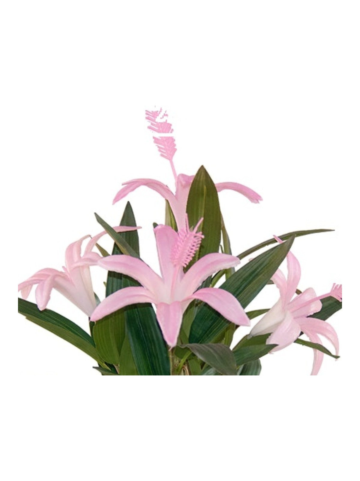Artificial lily plant pink close-up