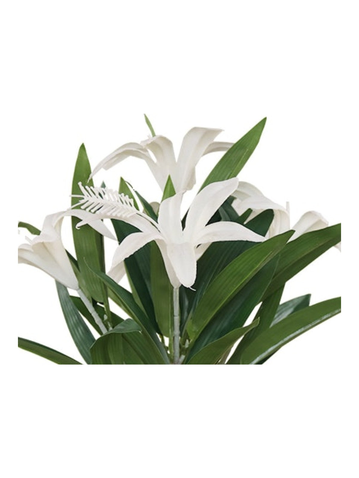 Artificial lily plant white close-up