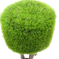 Marcolo 90cm Artificial Mushroom Tree Top Foliage View