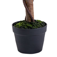Close-up of a black Marcolo pot with artificial tree moss.